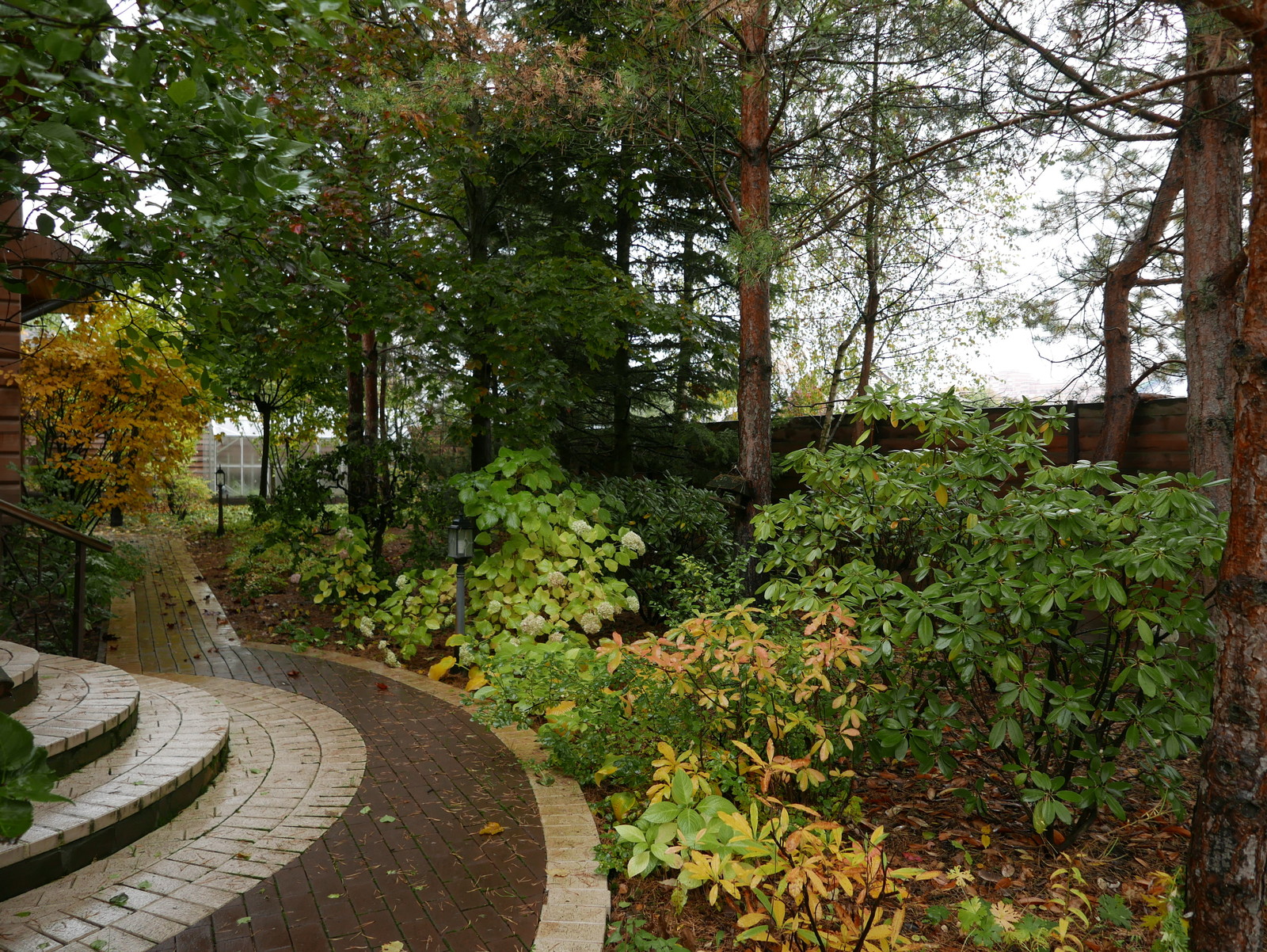 Буйство красочных форм в осеннем саду