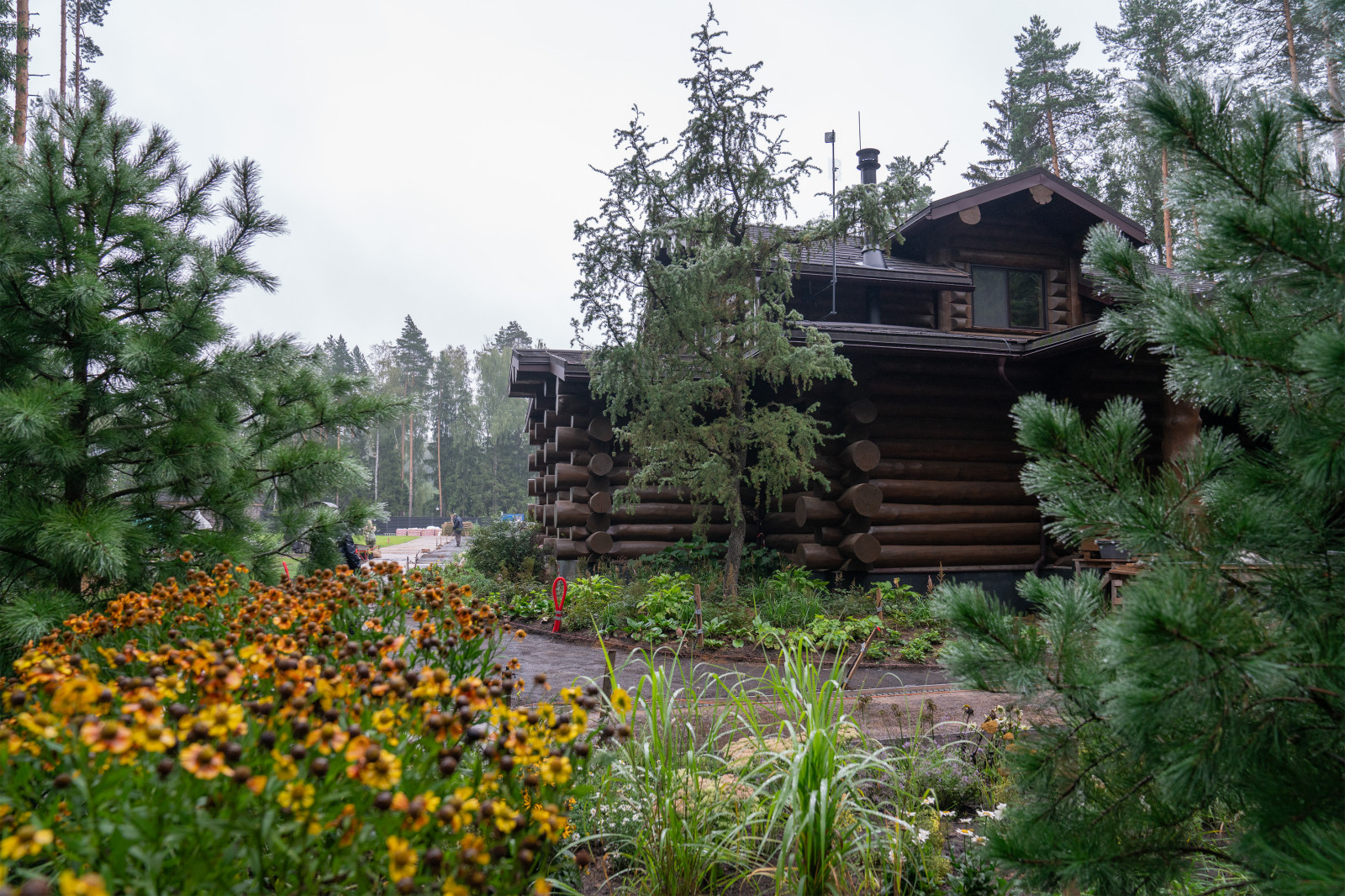 Лесные Зори. 1 Га. 2023 г.