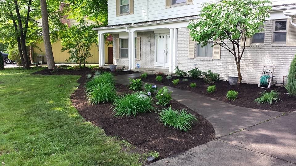 Traditional front yard garden in Detroit with with path and mulch.