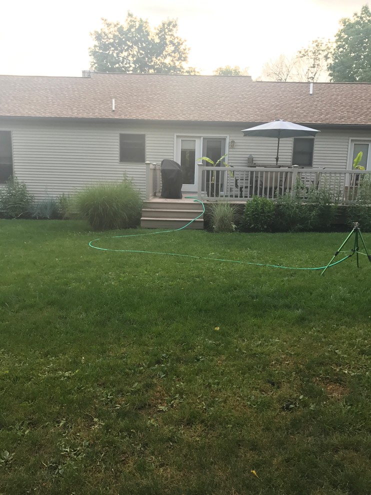 Backyard help!