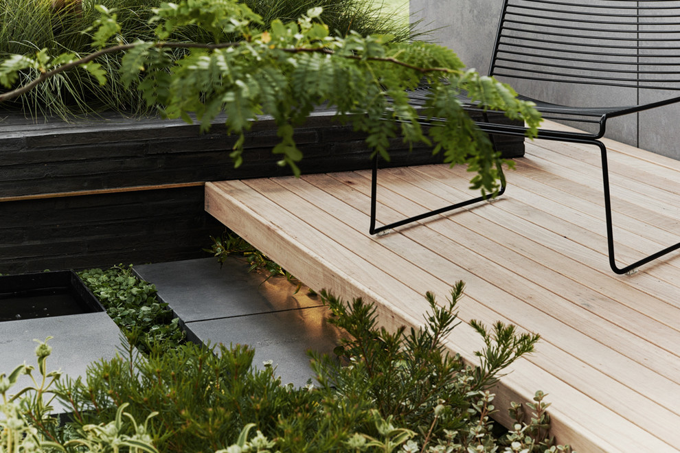 Small and australian native contemporary courtyard formal garden in Other with decking.