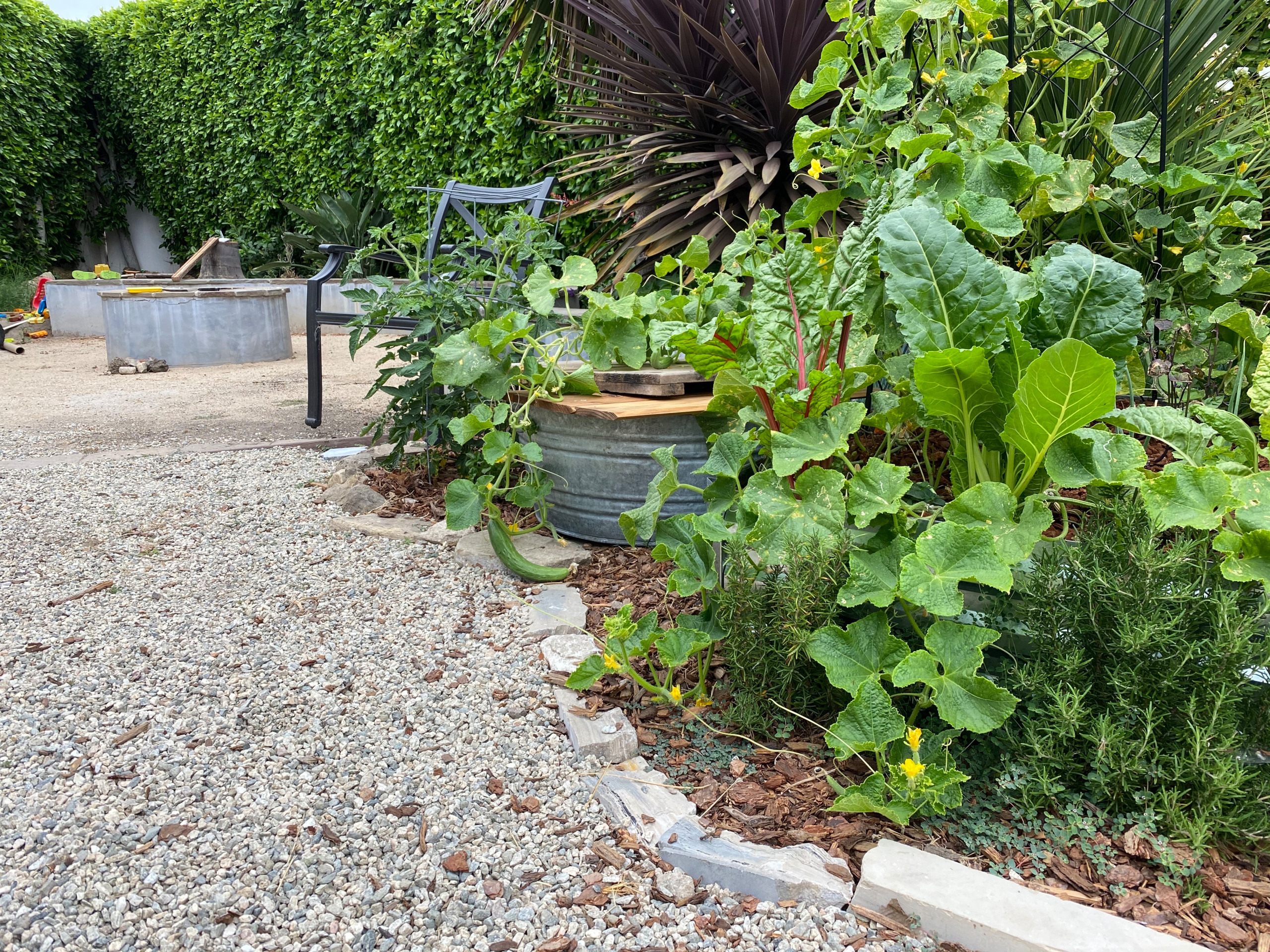 Rustic Kitchen Garden