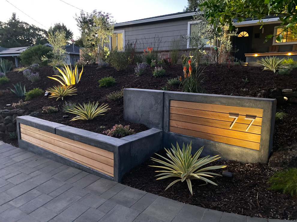 Modelo de acceso privado moderno de tamaño medio en patio delantero con muro de contención, exposición total al sol y adoquines de hormigón