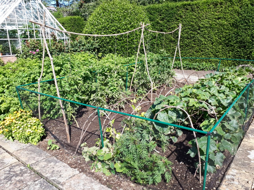 Vegetable Garden Maintenance Project