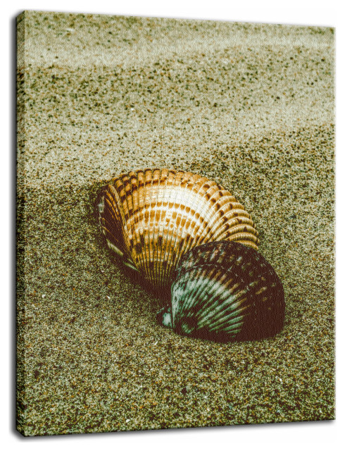 Dreamy Beach Seashells Coastal Nature Photo Canvas Wall Art Print, 12" X 16"