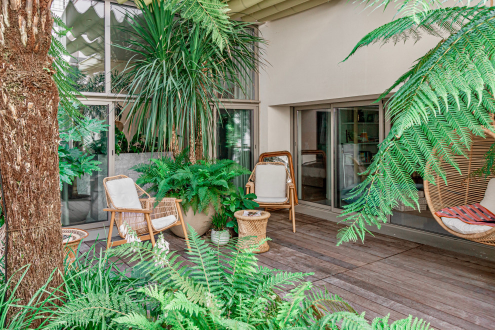 Immagine di un patio o portico tropicale con un giardino in vaso, pedane e una pergola