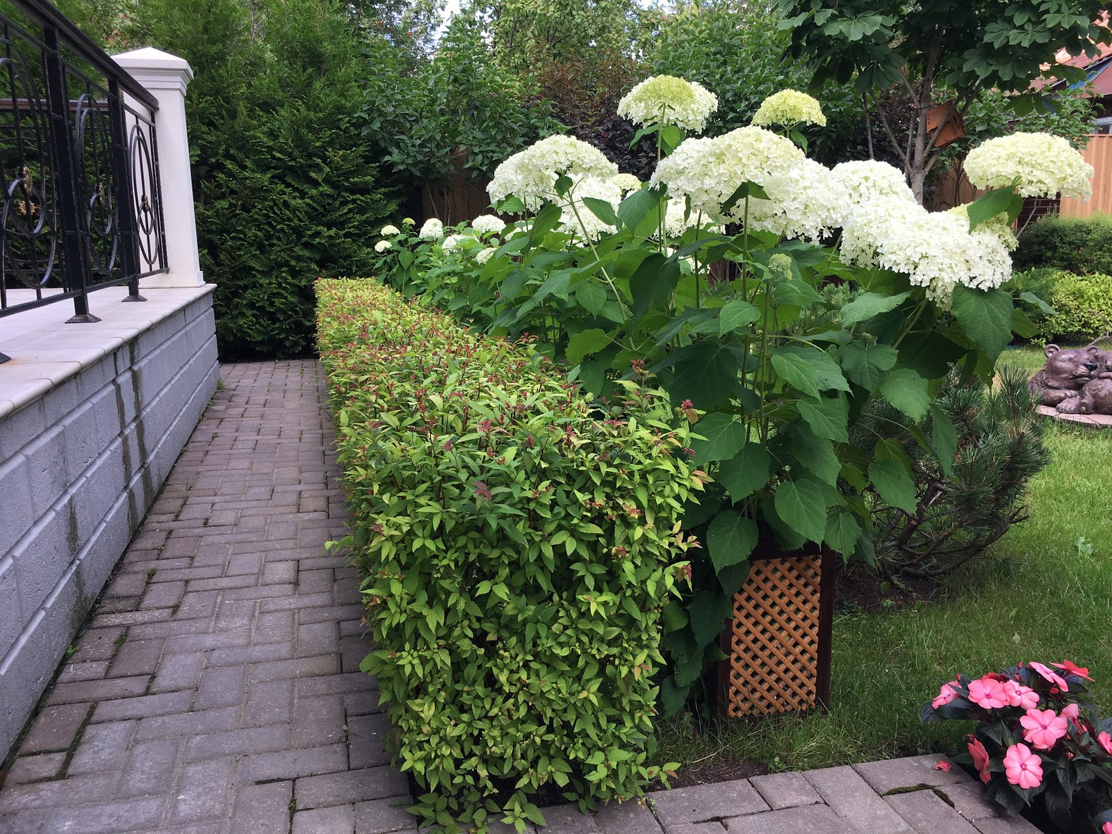 Дворик на 2-х сотках