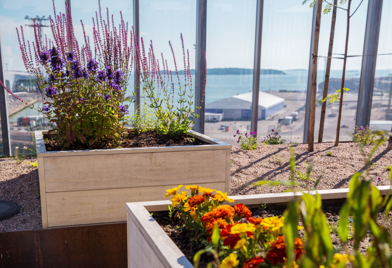 Сада на крыше в Хельсинки, Финляндия