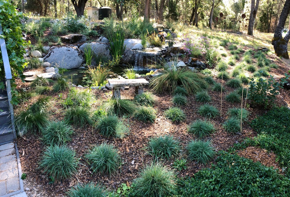Inspiration for a large country sloped partial sun xeriscape for spring in Sacramento with with pond and gravel.