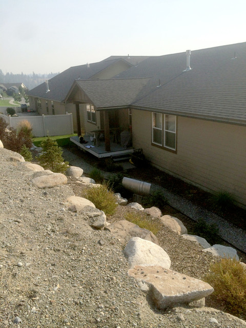 Bird-Friendly Backyard transitional