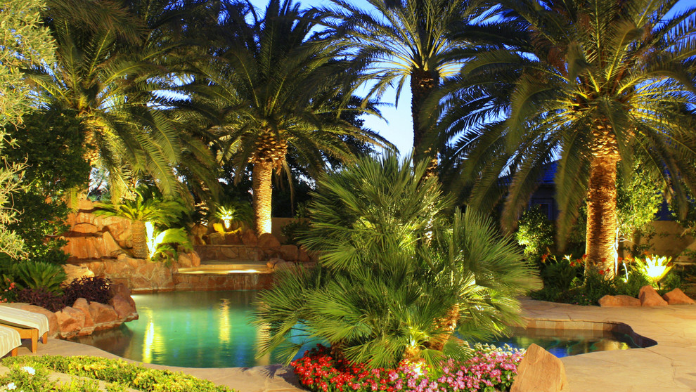 Landscape Lighting Tropical Landscape Las Vegas by CHIPNDALE