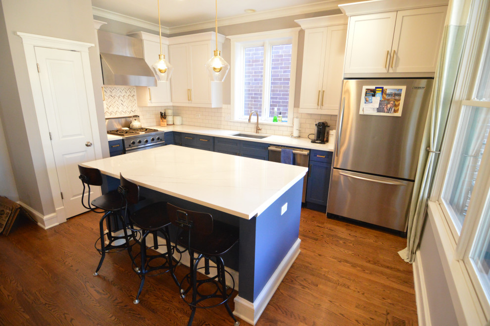 Kitchen - transitional kitchen idea in Chicago