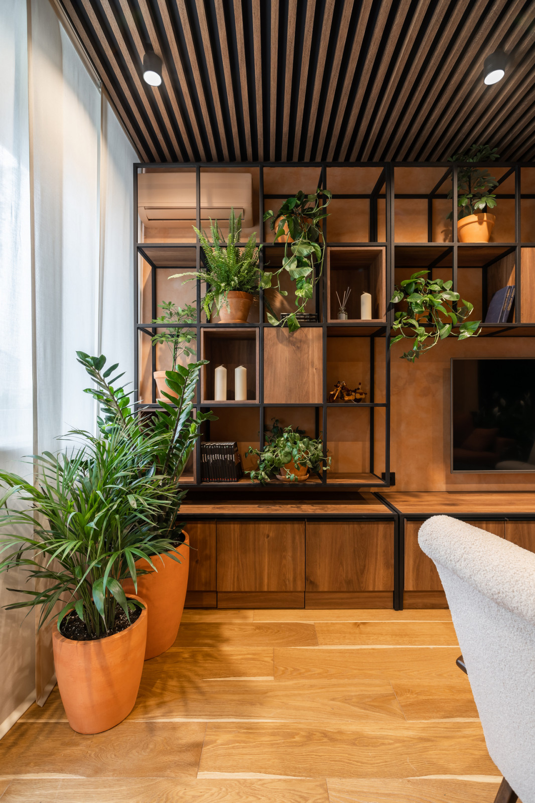 Тропическая рокировка