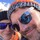 andrew_edler