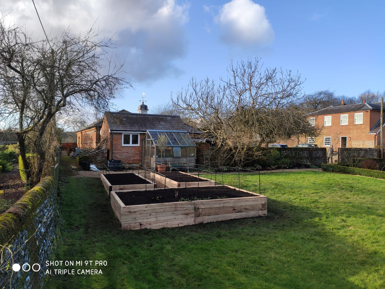 Vegetable Patches