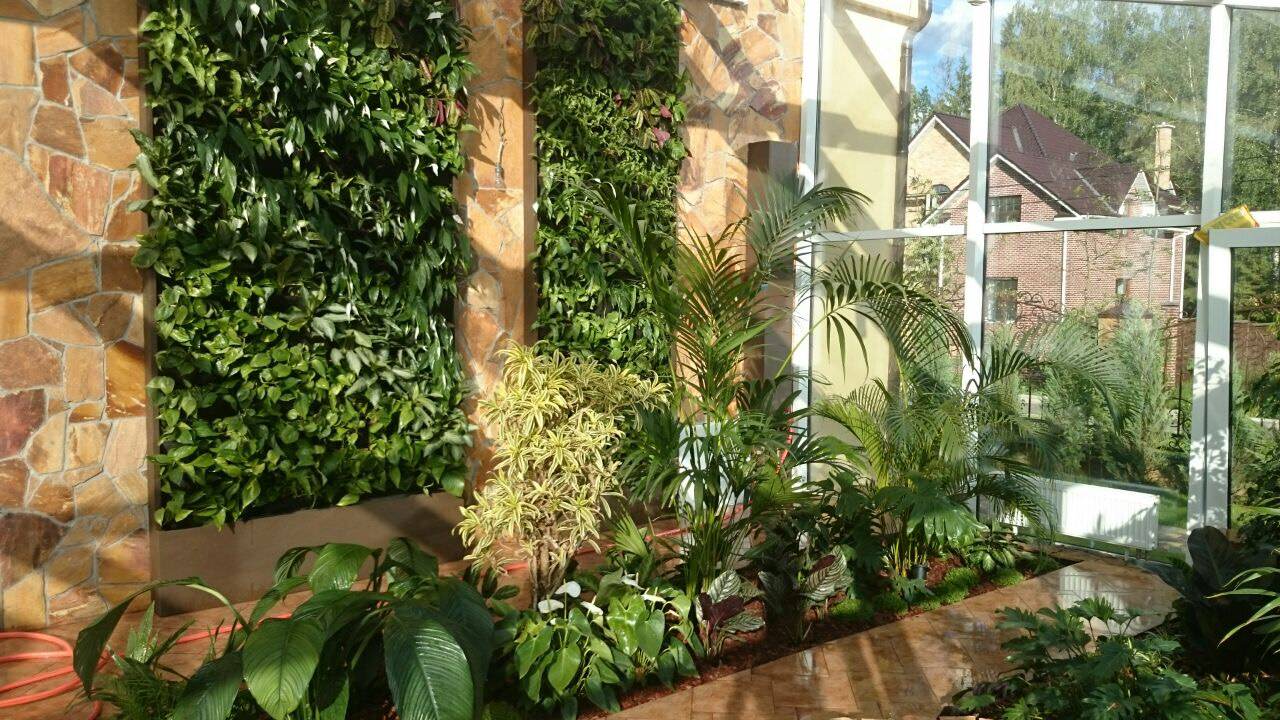 Зимний сад. Калининец