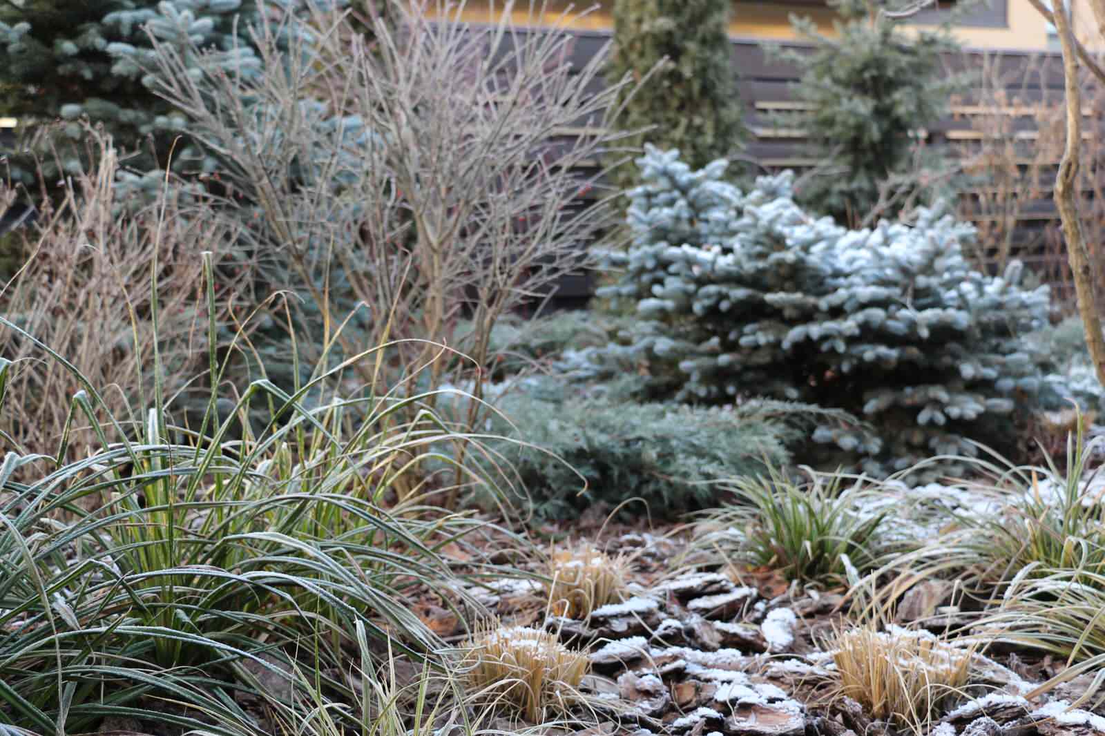 Светлогорье