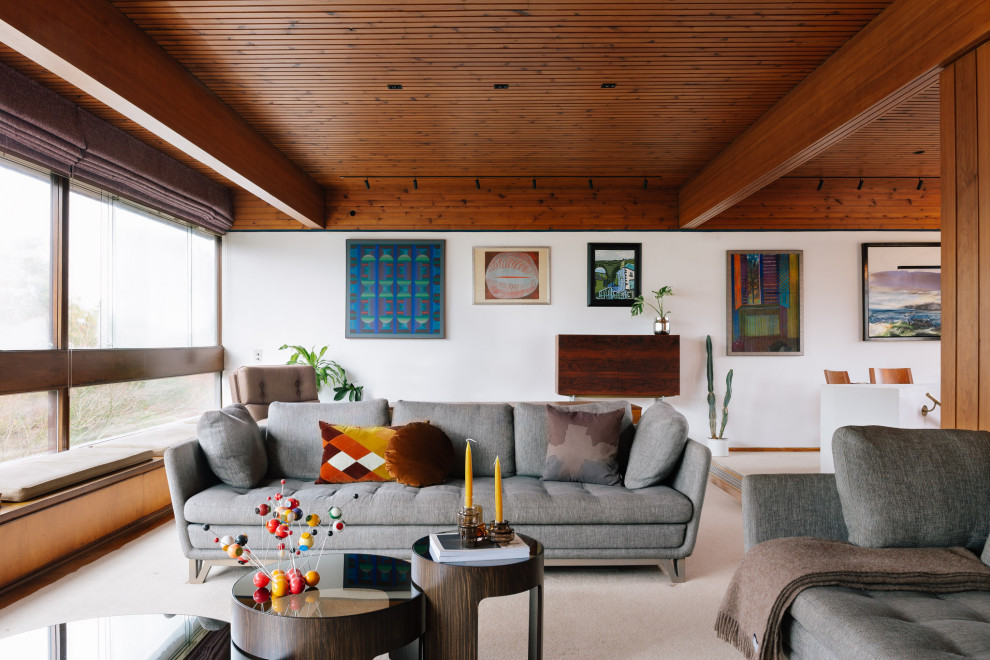 This is an example of a retro living room in Other.