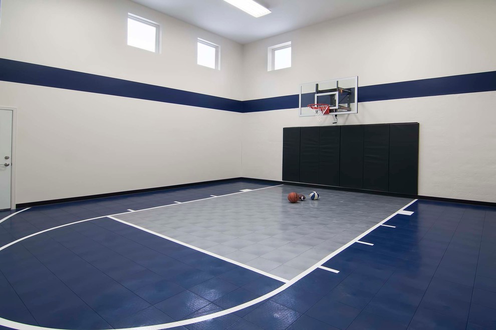 This is an example of an expansive contemporary indoor sport court in Minneapolis with multi-coloured walls.