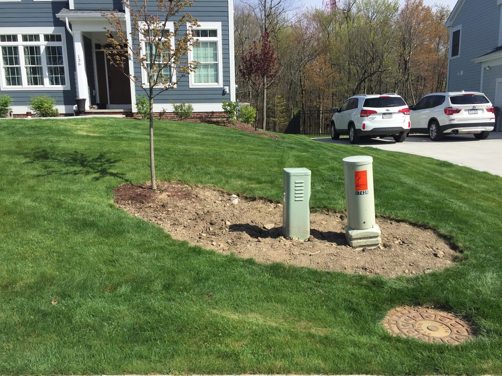 Landscape to hide utility boxes