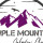 Purple Mountain Window Cleaning LLC