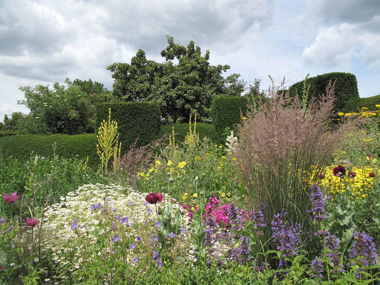 Наши статьи: "В стиле импрессионизма. Рисуем крупными мазками..."
