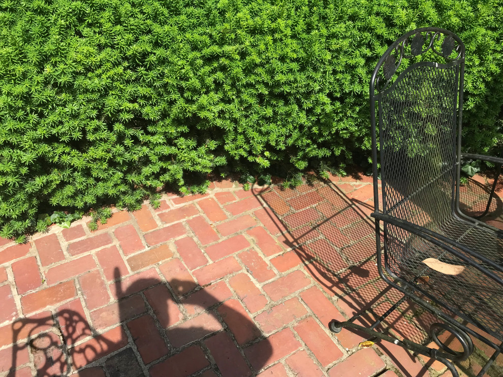 Berry Job - Brick Patio and Sidewalk Repair