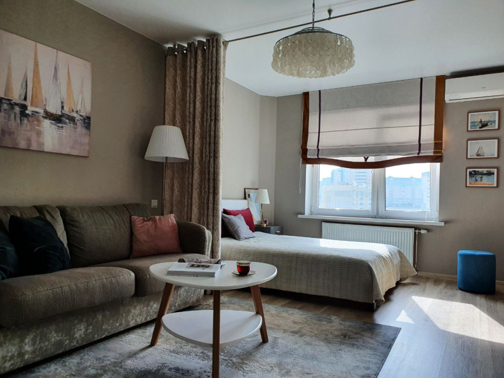 Переделка существующей гостиной-спальни-прихожей 23,26 м/кв