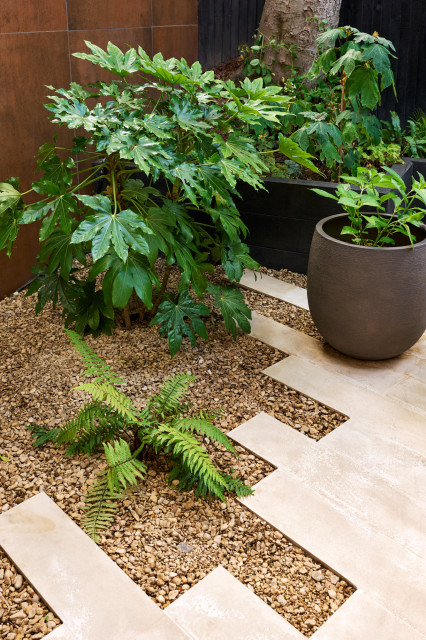 Contemporary courtyard modern-garden