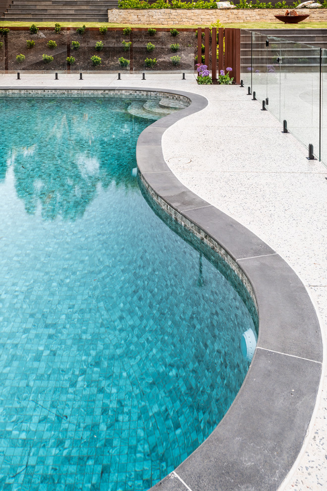 Modelo de piscina contemporánea grande tipo riñón en patio trasero con paisajismo de piscina