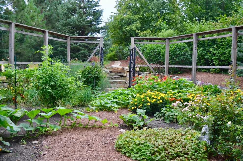 This is an example of a large traditional side yard full sun garden for summer in Minneapolis with a vegetable garden and mulch.