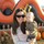 Last commented by Jennifer Kincaid