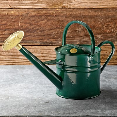 Haws Traditional Watering Can, Green | Williams Sonoma