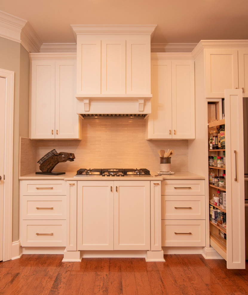 Inspiration for a transitional kitchen remodel in Charlotte