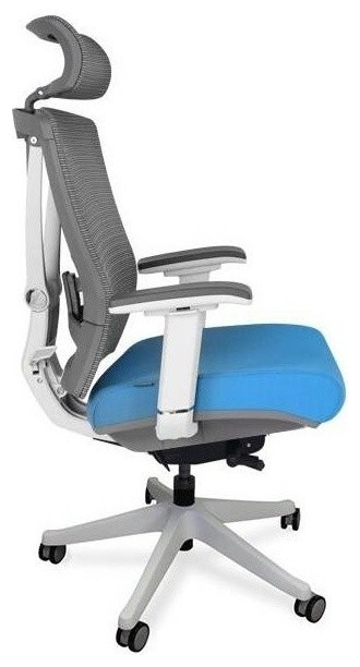 Premium Ergonomic Office Chair in Blue