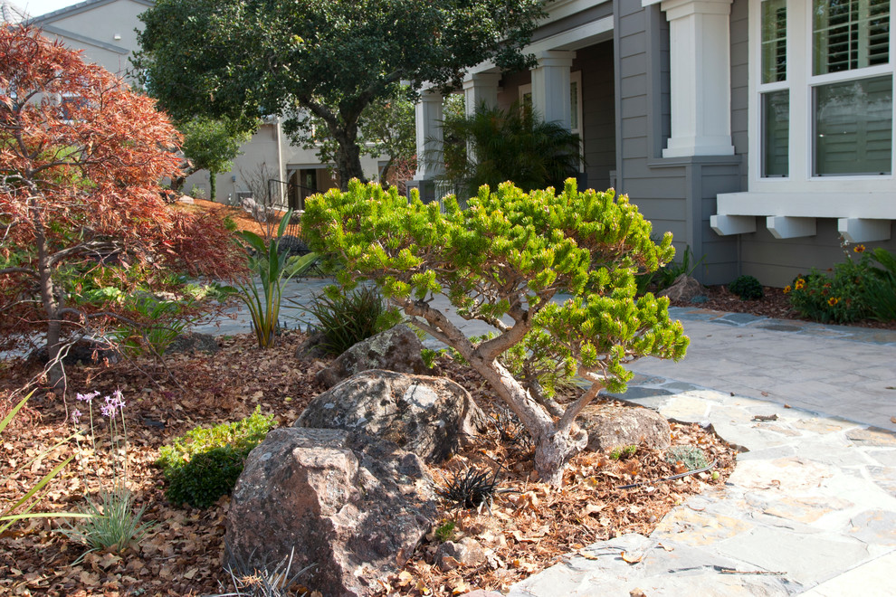 Photo of a mid-sized asian front yard garden in San Francisco with with pond and natural stone pavers.