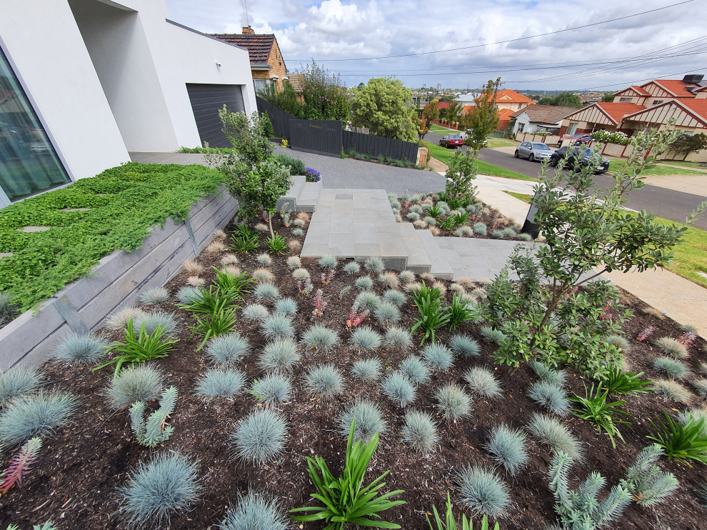 Large modern front yard full sun formal garden in Melbourne with a garden path and natural stone pavers for spring.