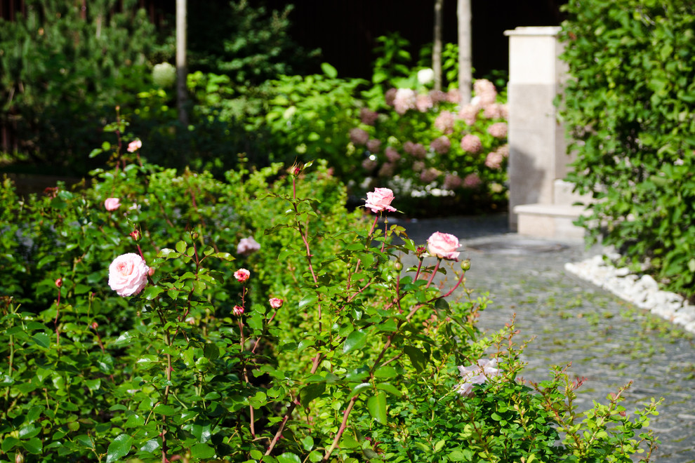 Глянцевый лес