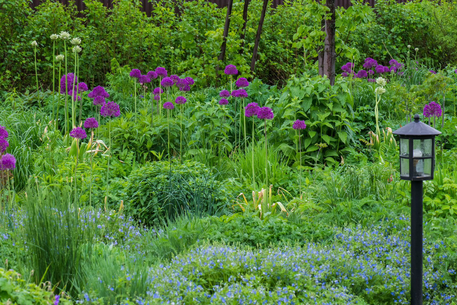 Большой сад в пригороде