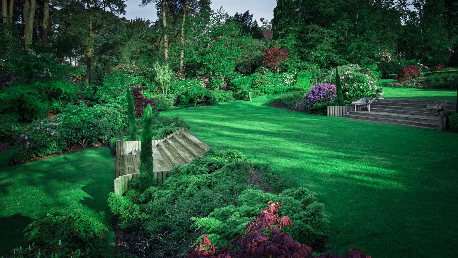 Суррей Времена Года