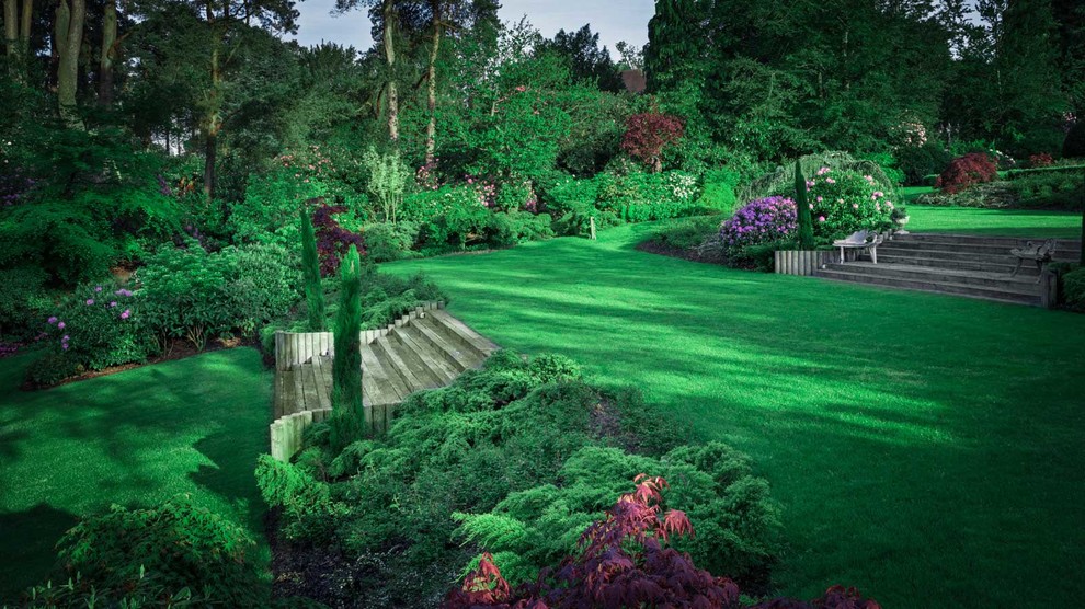 Суррей Времена Года