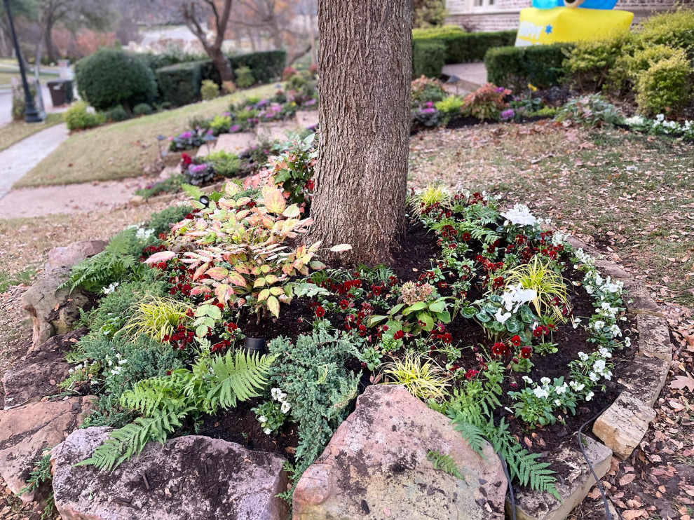 Oak Lawn Residential Landscape