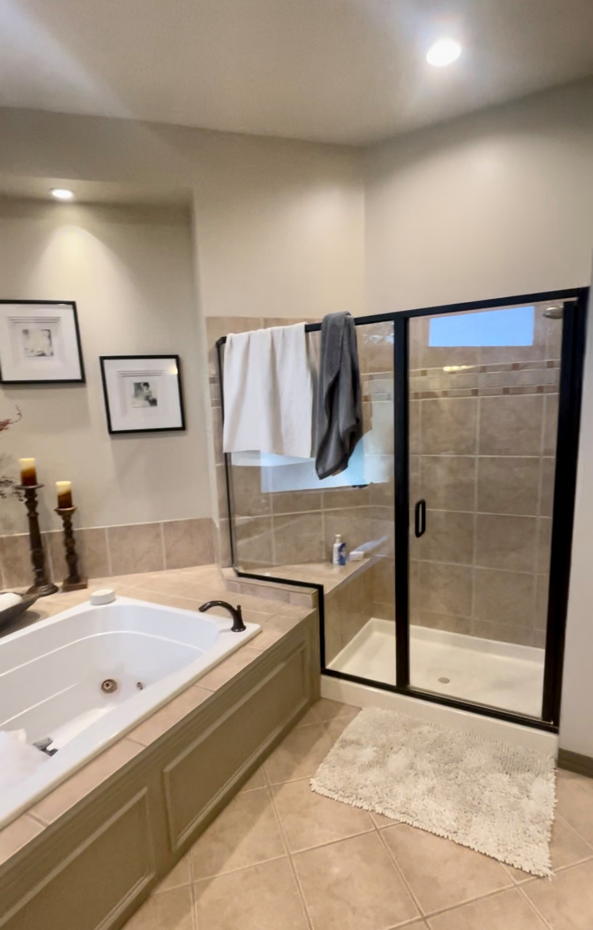 Master Bathroom Renovation