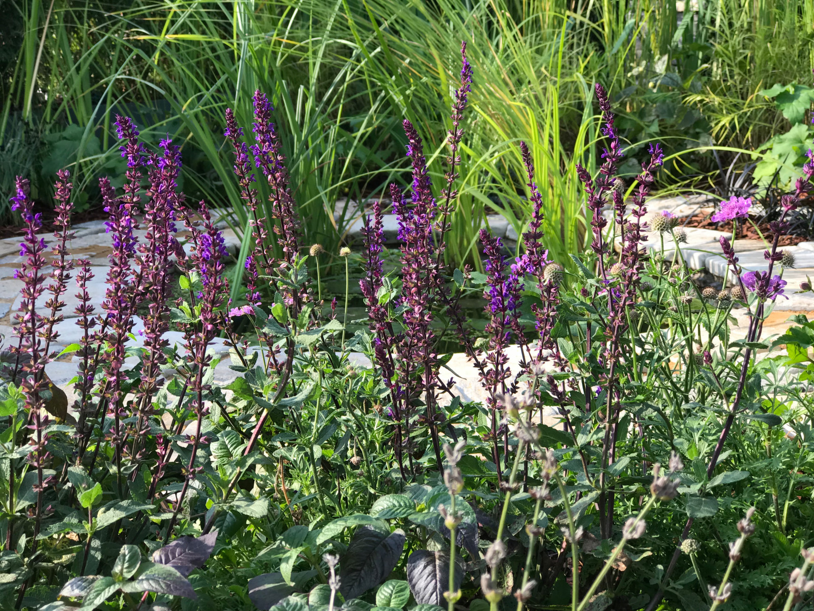 Cottage Garden "Secret Garden" Тайная комната
