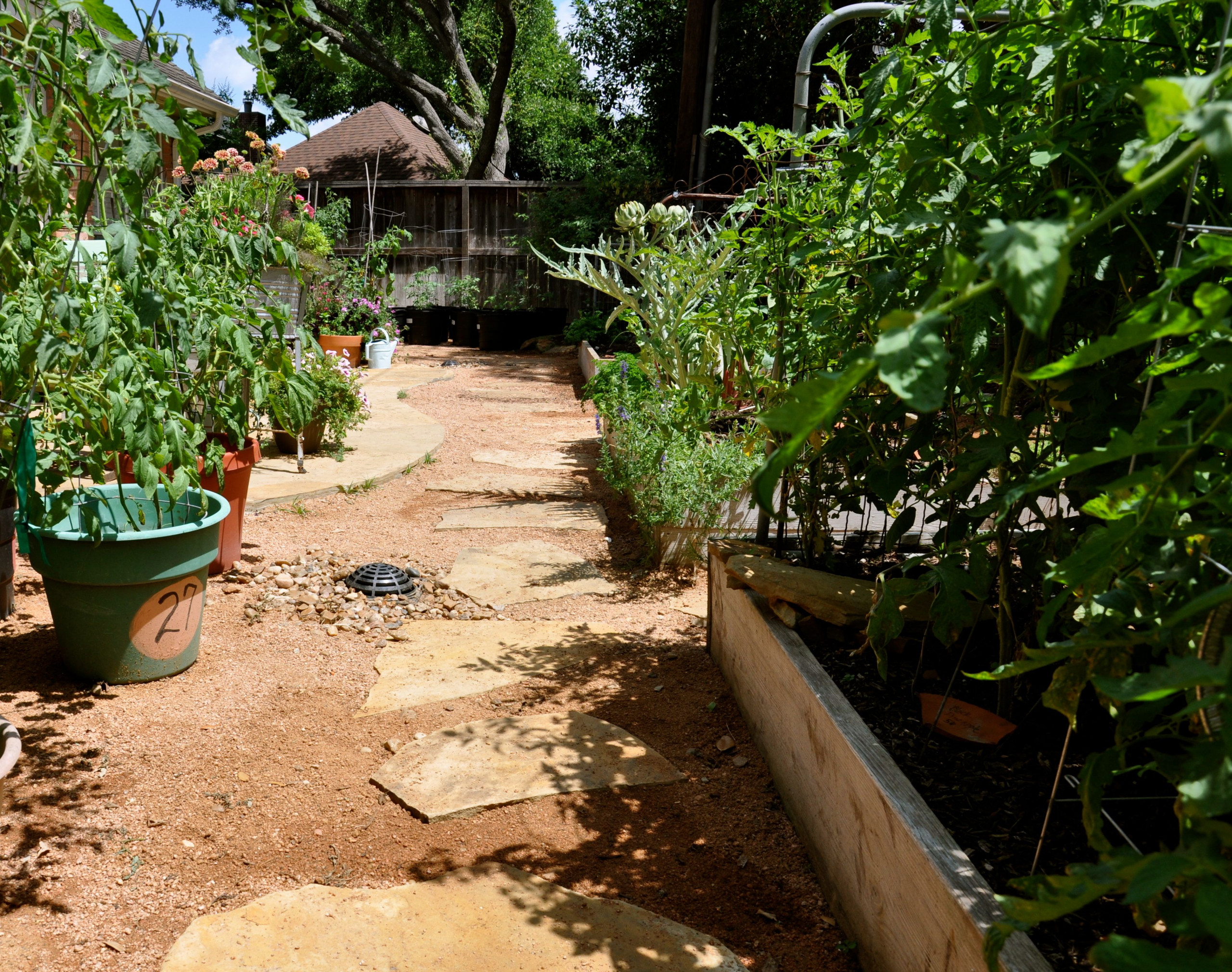Functional back yard