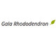 Gala Rhododendron