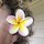 lorre_sweetman
