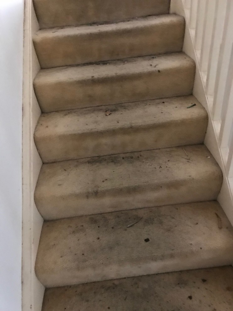 A BROKEN HOME - GETS REPAIRED READY FOR SALE