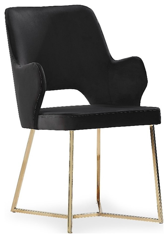 Furniture of America Glanz Fabric Open-Back Accent Chairs in Black (Set of 2)