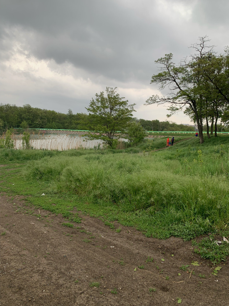 Баса отдыха. Кумжинской роща, берег Дона